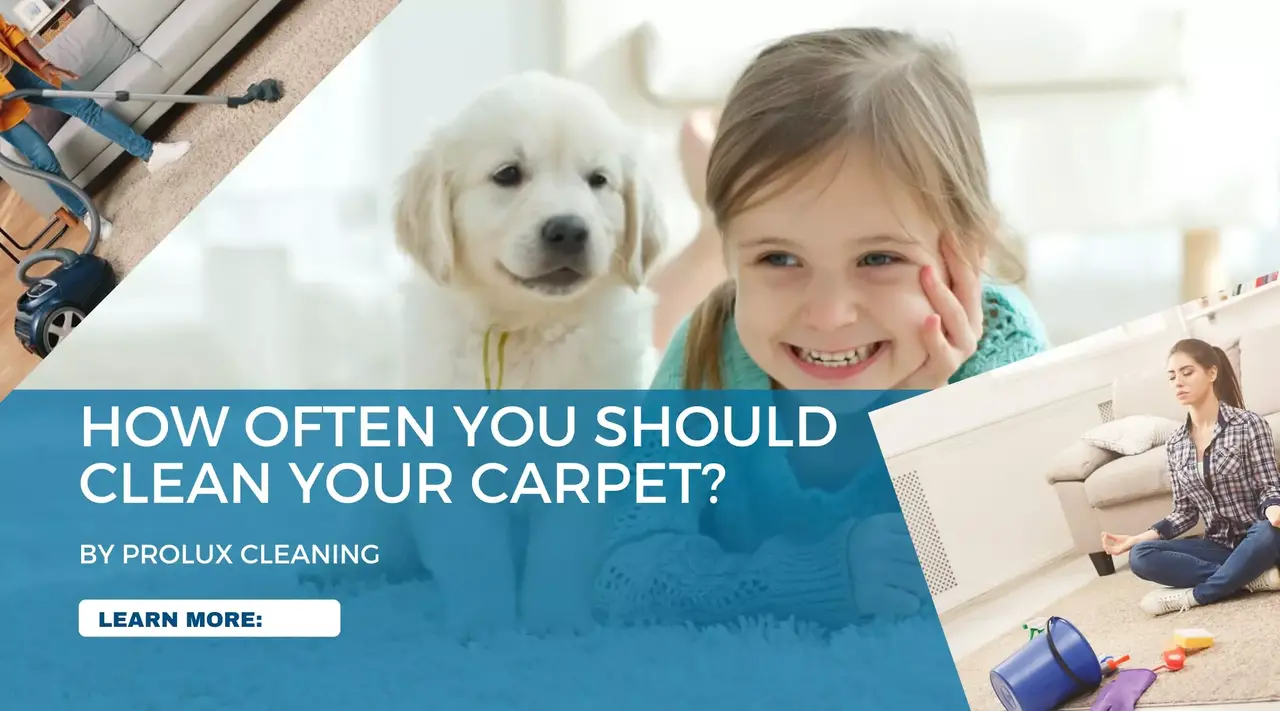 Recommended Carpet Cleaning Frequency for a Healthy Home