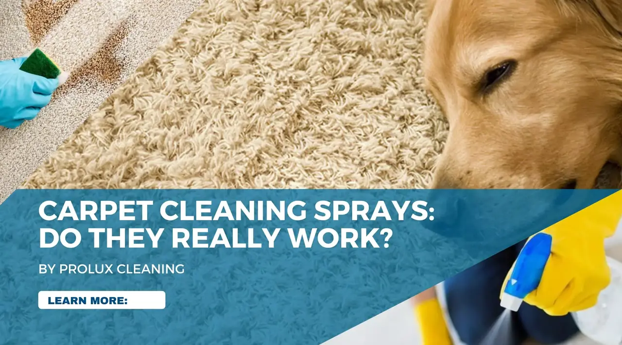 Carpet Cleaning Sprays: Do They Really Work?