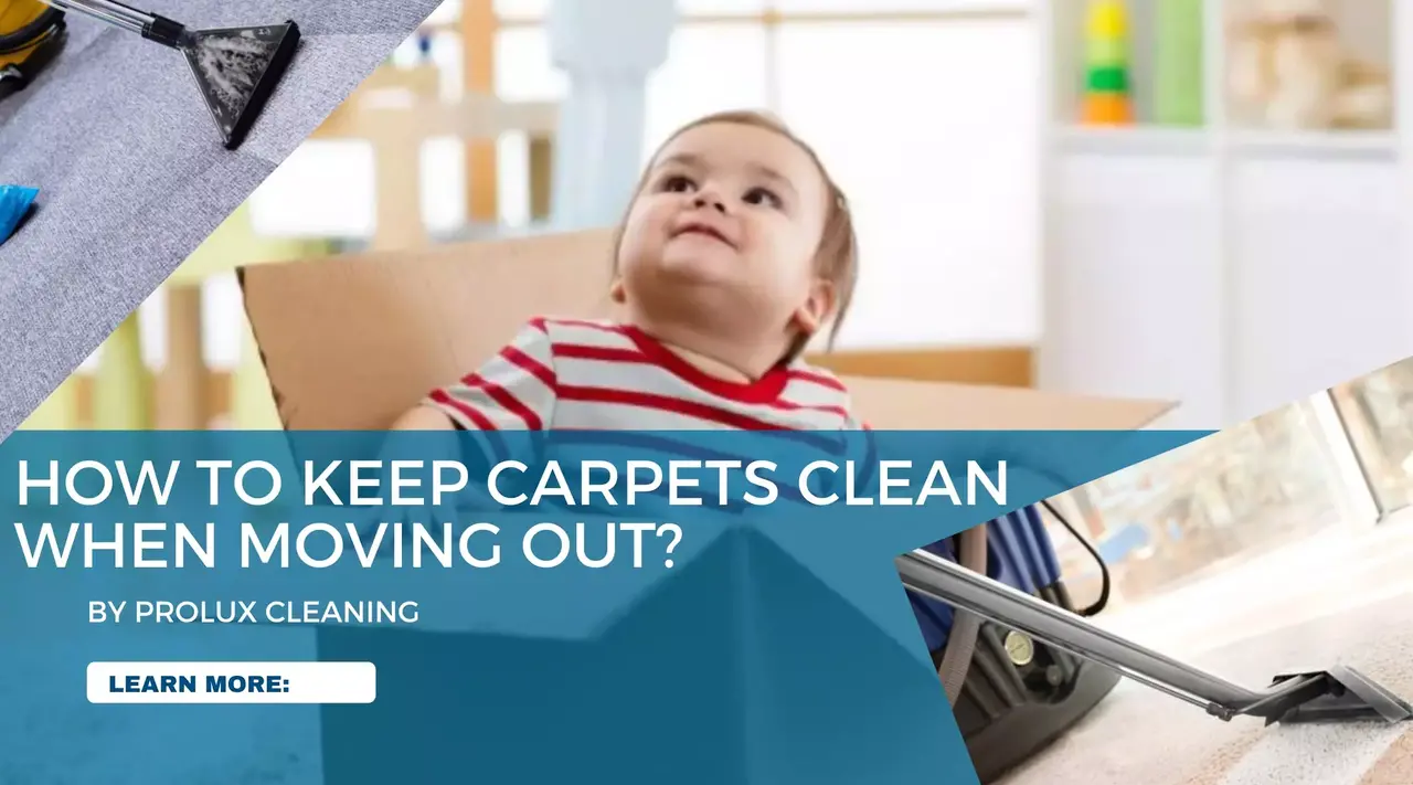Best Tips to Keep Your Carpet Clean Before Moving Out
