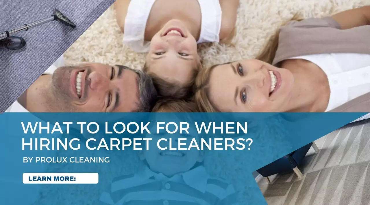 Essential Factors to Consider When Choosing a Carpet Cleaning Company