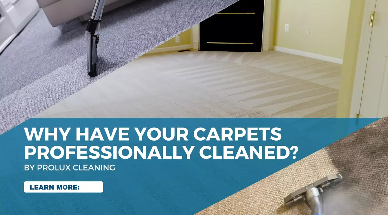 Benefits of Professional Carpet Cleaning