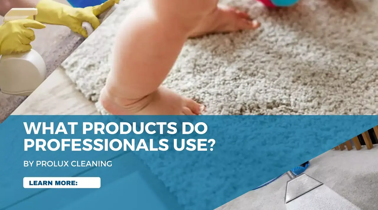 Best Carpet Cleaners Used by Professionals