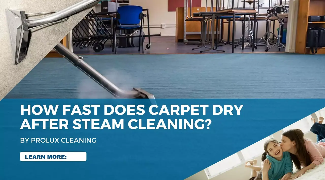 Carpet Drying Time After Steam Cleaning Explained