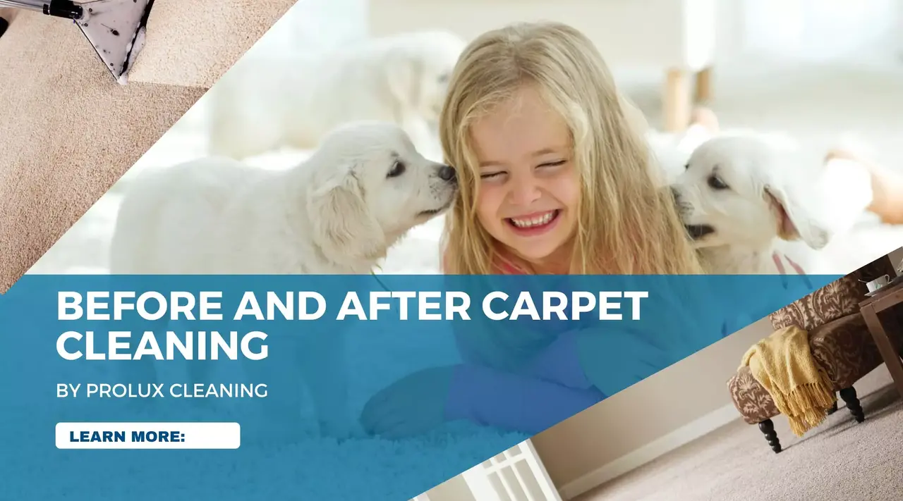 Preparation Tips Before Carpet Cleaning