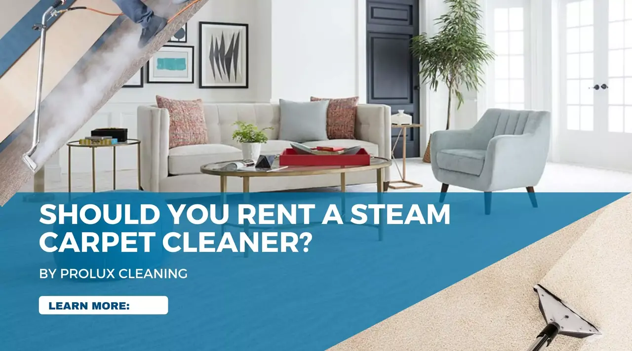 Carpet Cleaning: Rent a Machine vs. Hire a Professional