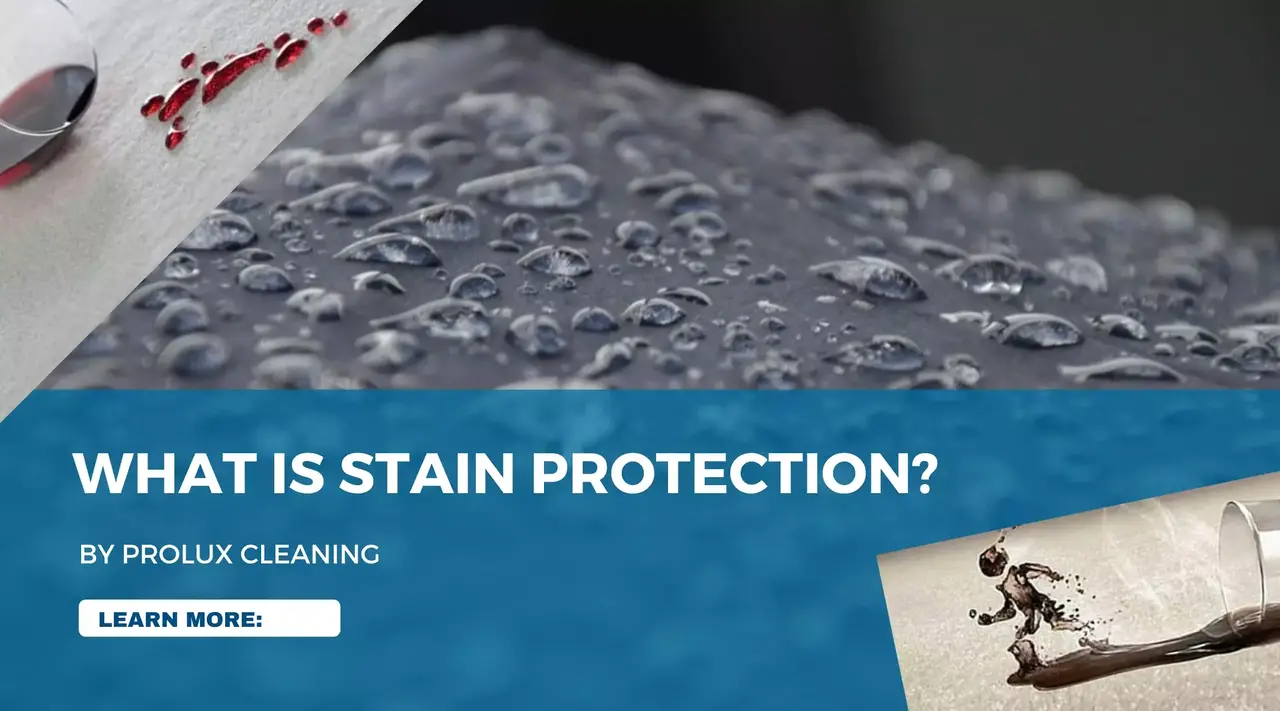 Understanding Stain Protection for Carpets and Upholstery