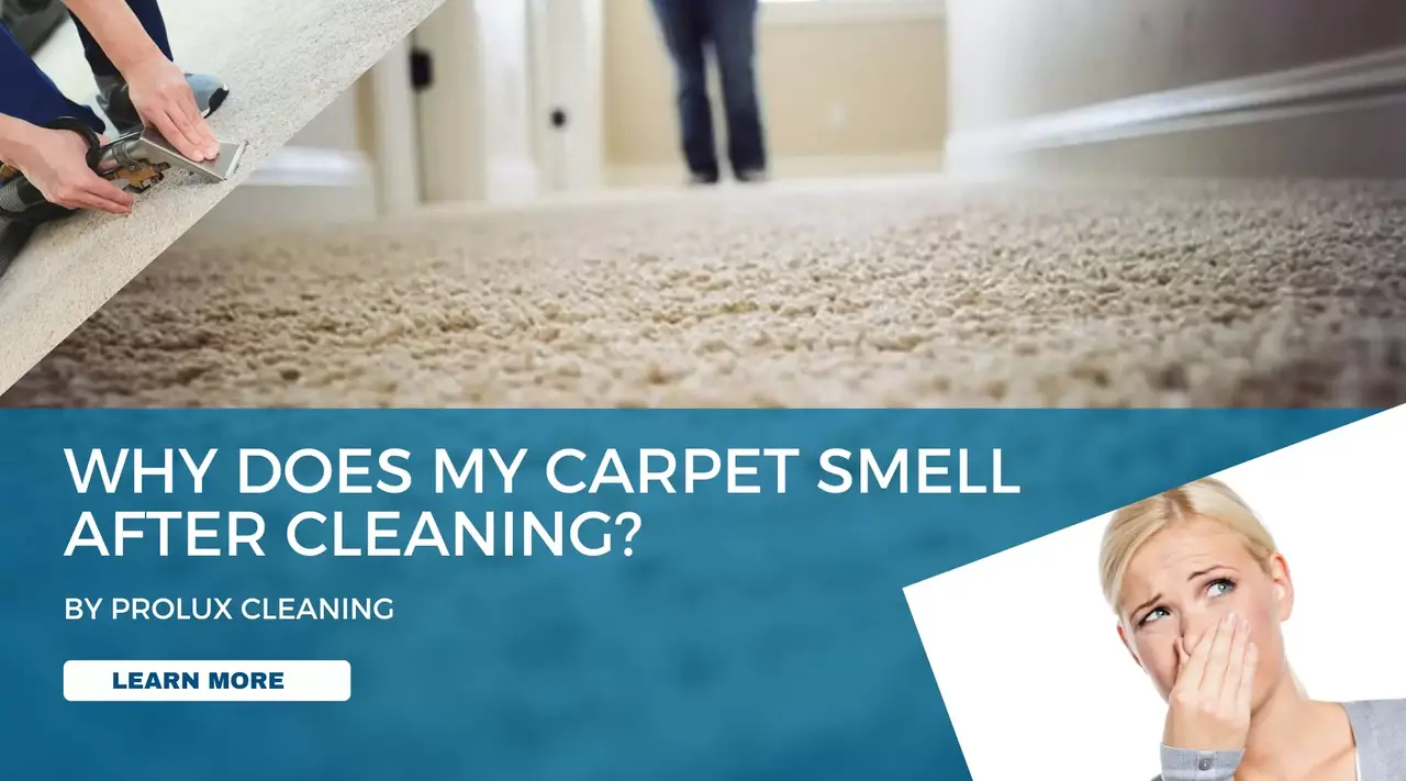 Reasons Your Carpet Smells After Cleaning & How to Fix It