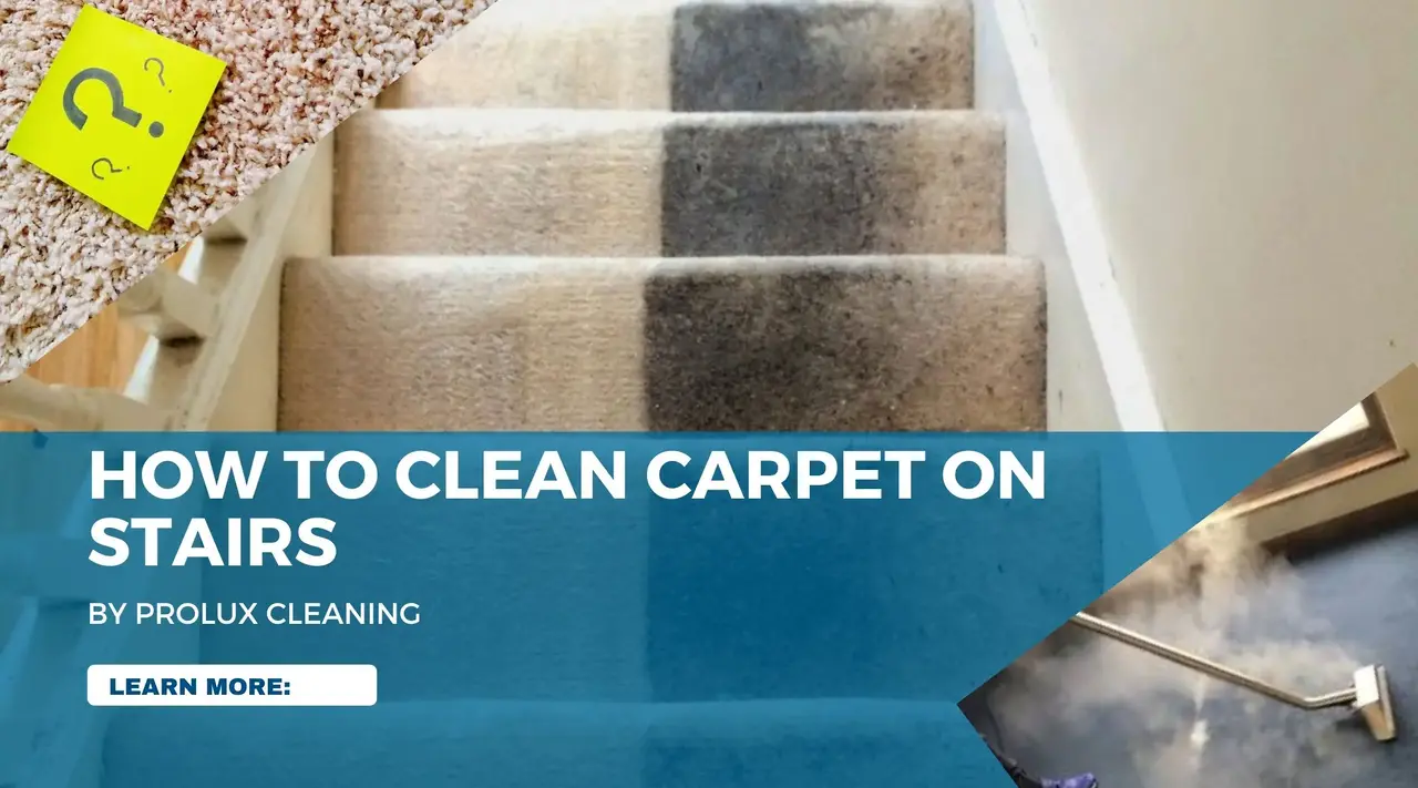 How to Clean Carpet on Stairs – Step-by-Step Guide