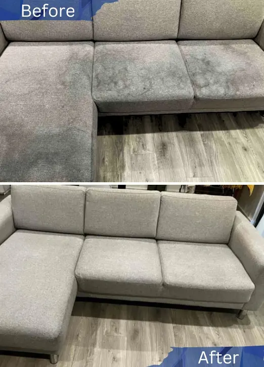 professional couch cleaning near me from Prolux Cleaning 9.1