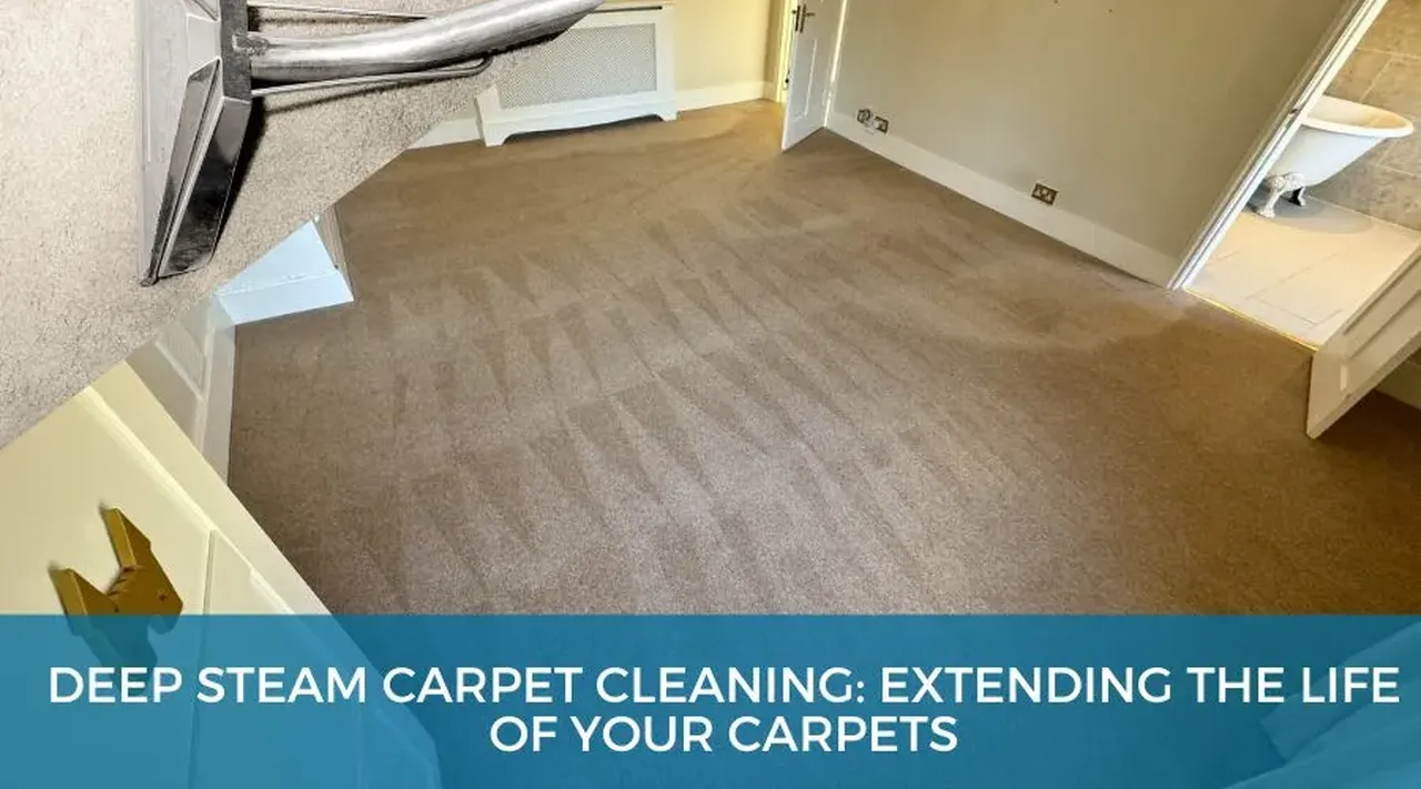 How Deep Steam Carpet Cleaning Helps Prolong Carpet Lifespan