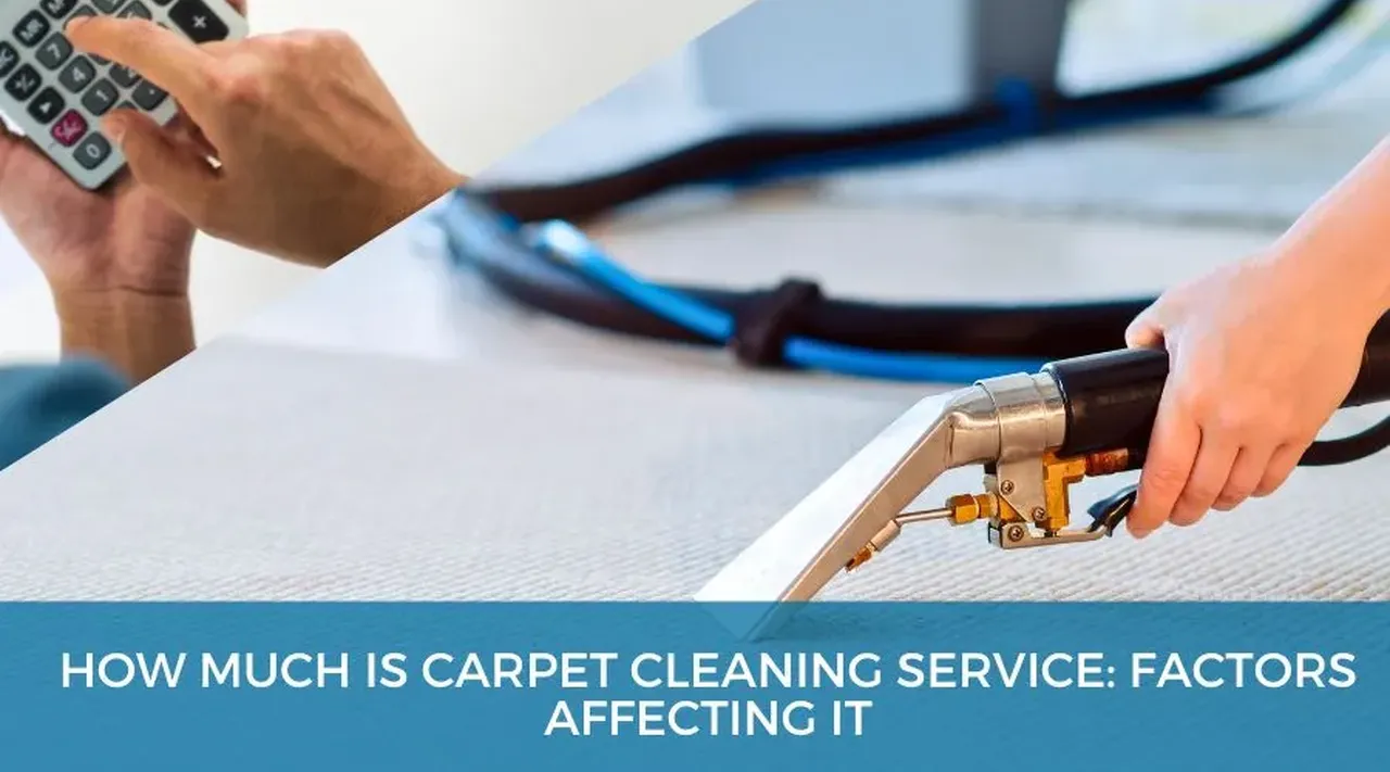 How Much Does a Carpet Cleaning Service Cost?