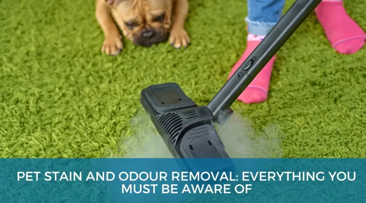 Effective Pet Stain and Odour Removal Solutions