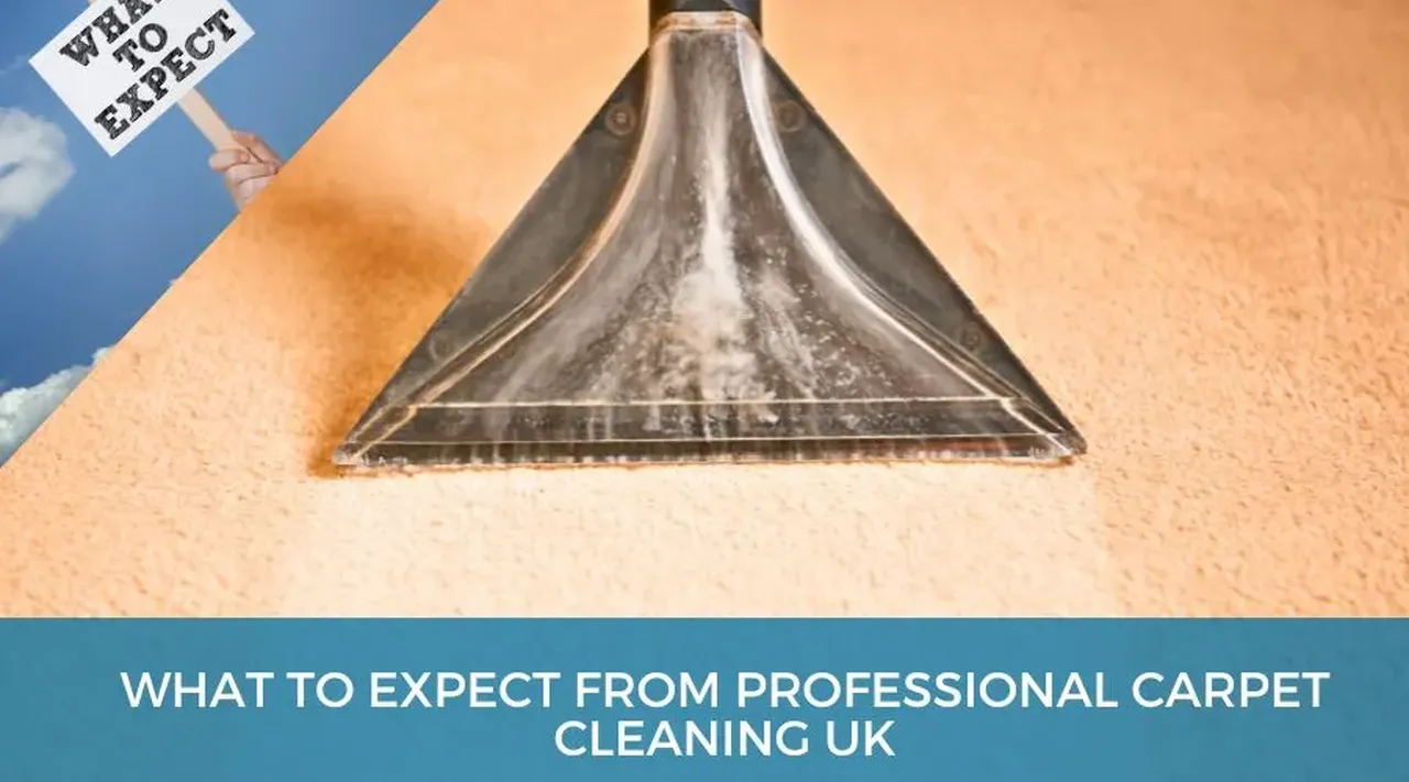 Detailed Overview of What to Expect from Professional Carpet Cleaning Services in the UK